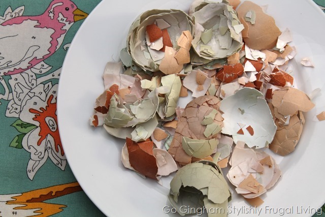 How To Use Egg Shells In The Garden Go Gingham